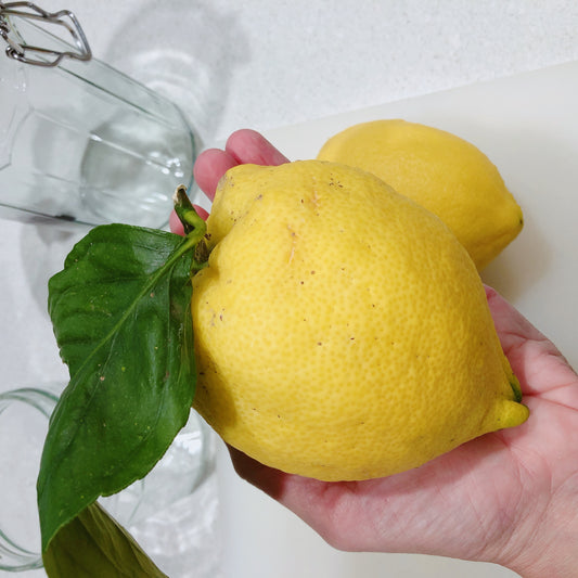 Lemon Curd by Monica Cavallaro