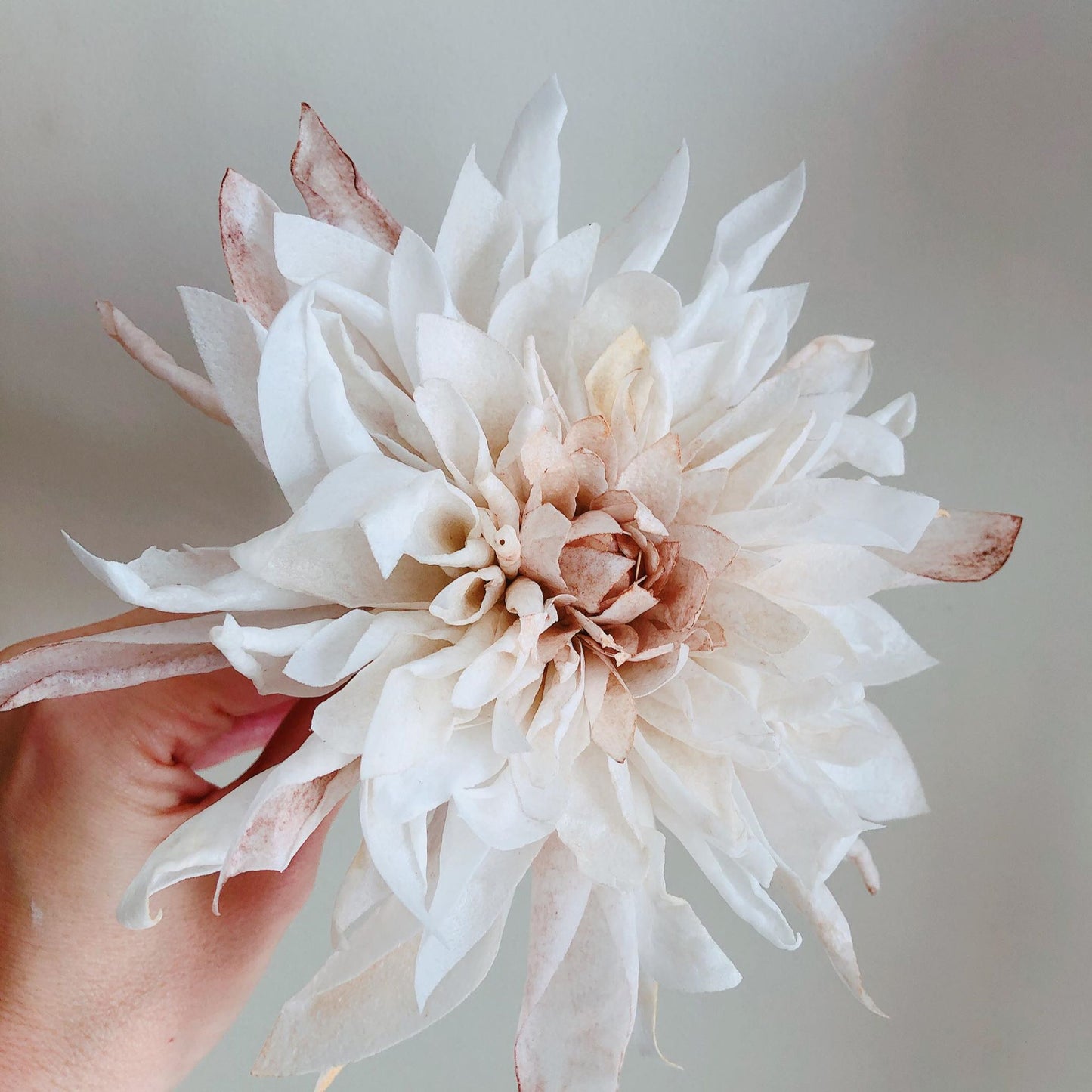 Wafer Paper Dahlia Class - Cakers Paradise QLD - 20/01/2024 - Link in post to booking page