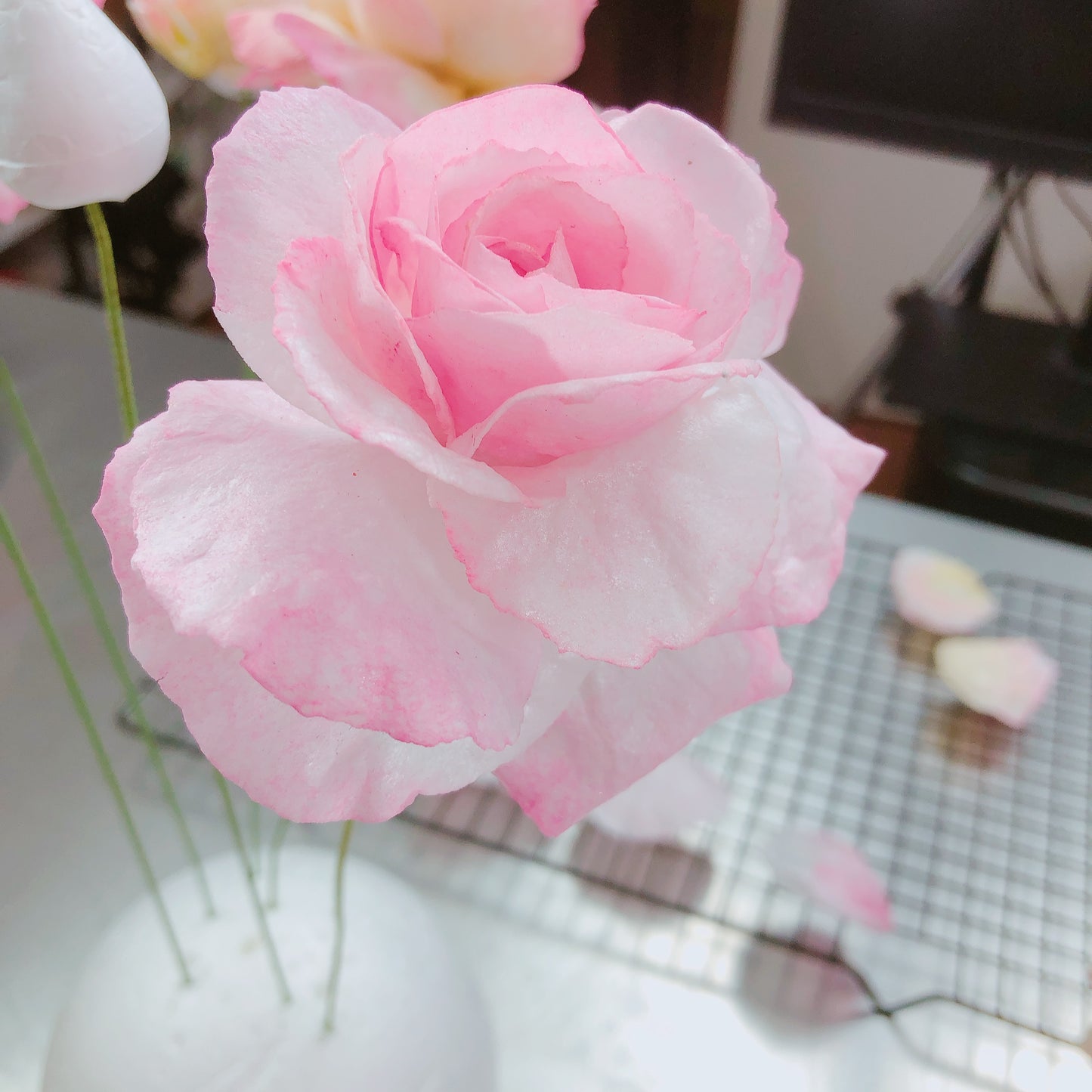 Purrrrrfect Petal Pad