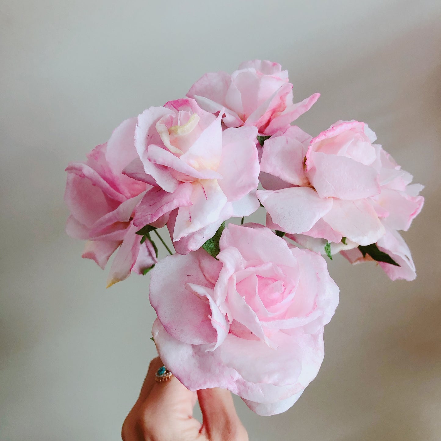 1 spot left!! Moreish Rose Wafer Paper Workshop with Monica Cavallaro - Homebush Sydney