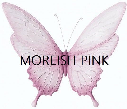 Wafer Paper Butterflies Moreish Signature Range - Various Colours