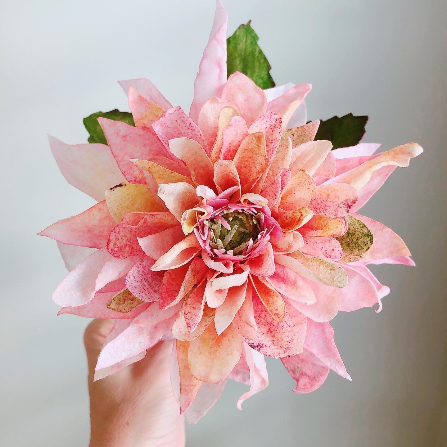 Wafer Paper Dahlia Class - Cakers Paradise QLD - 20/01/2024 - Link in post to booking page