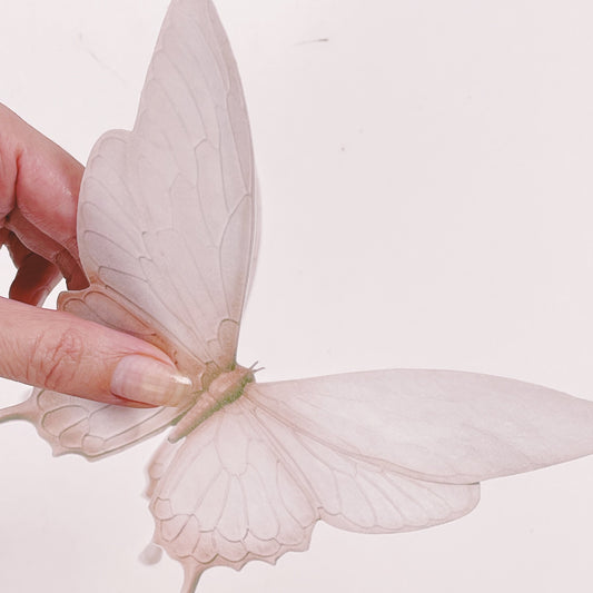 Moreish Signature Range Giant Wafer Paper Butterflies in Neutral Beige - Set of 2