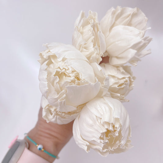 Sola Wood Small Peony with 20cm Natural Reed Stick Topper