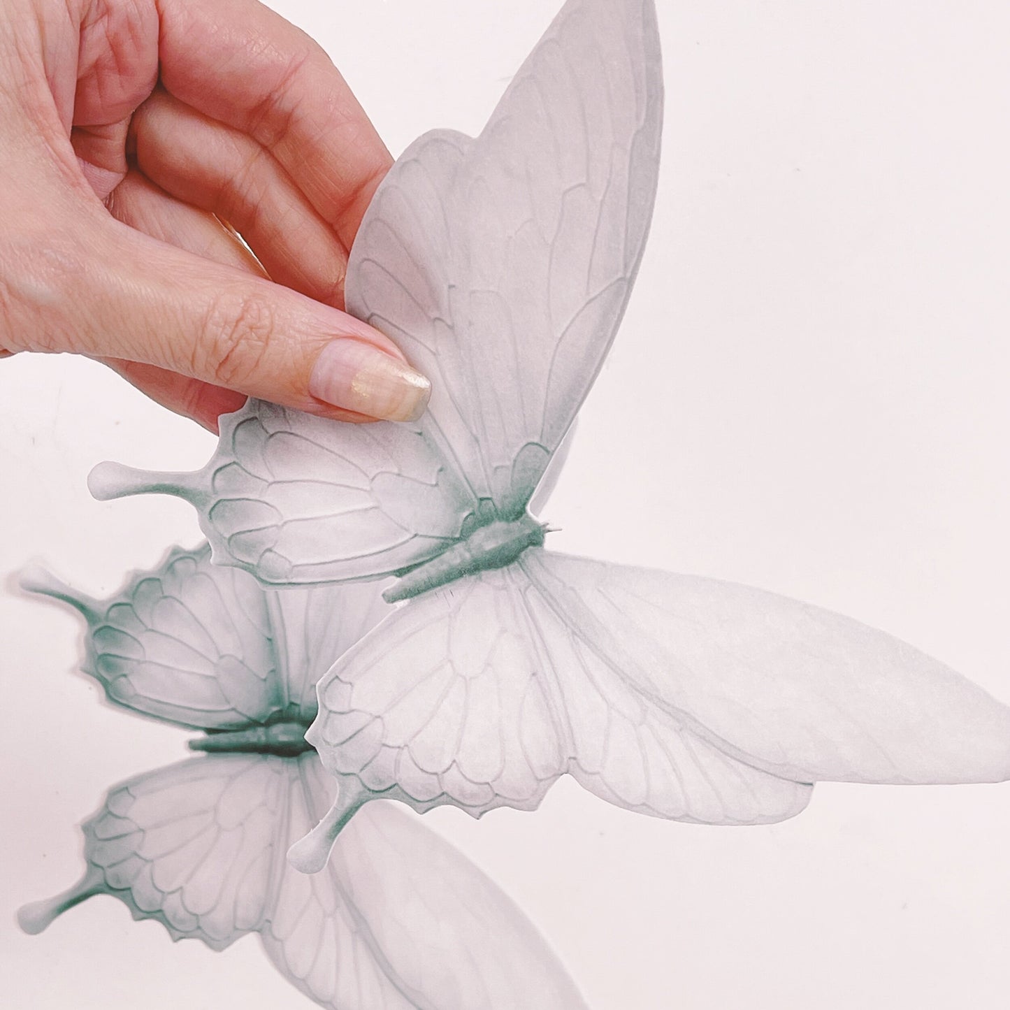 Moreish Signature Range Giant Wafer Paper Butterflies in Soft Grey - Set of 2