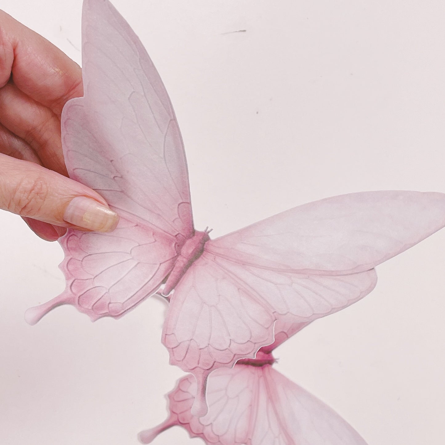 Moreish Signature Range Giant Wafer Paper Butterflies in Pretty In Pink - Set of 2