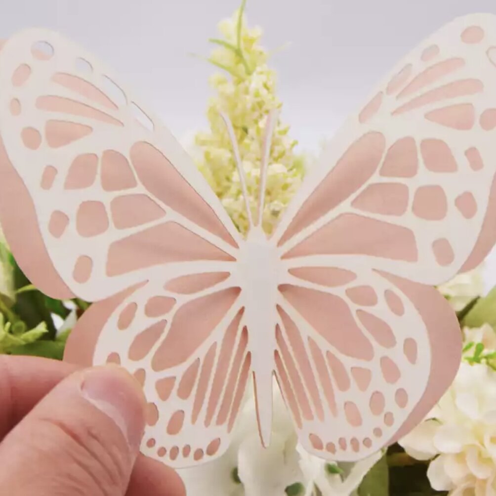 More Double Card Butterflies pack of 20