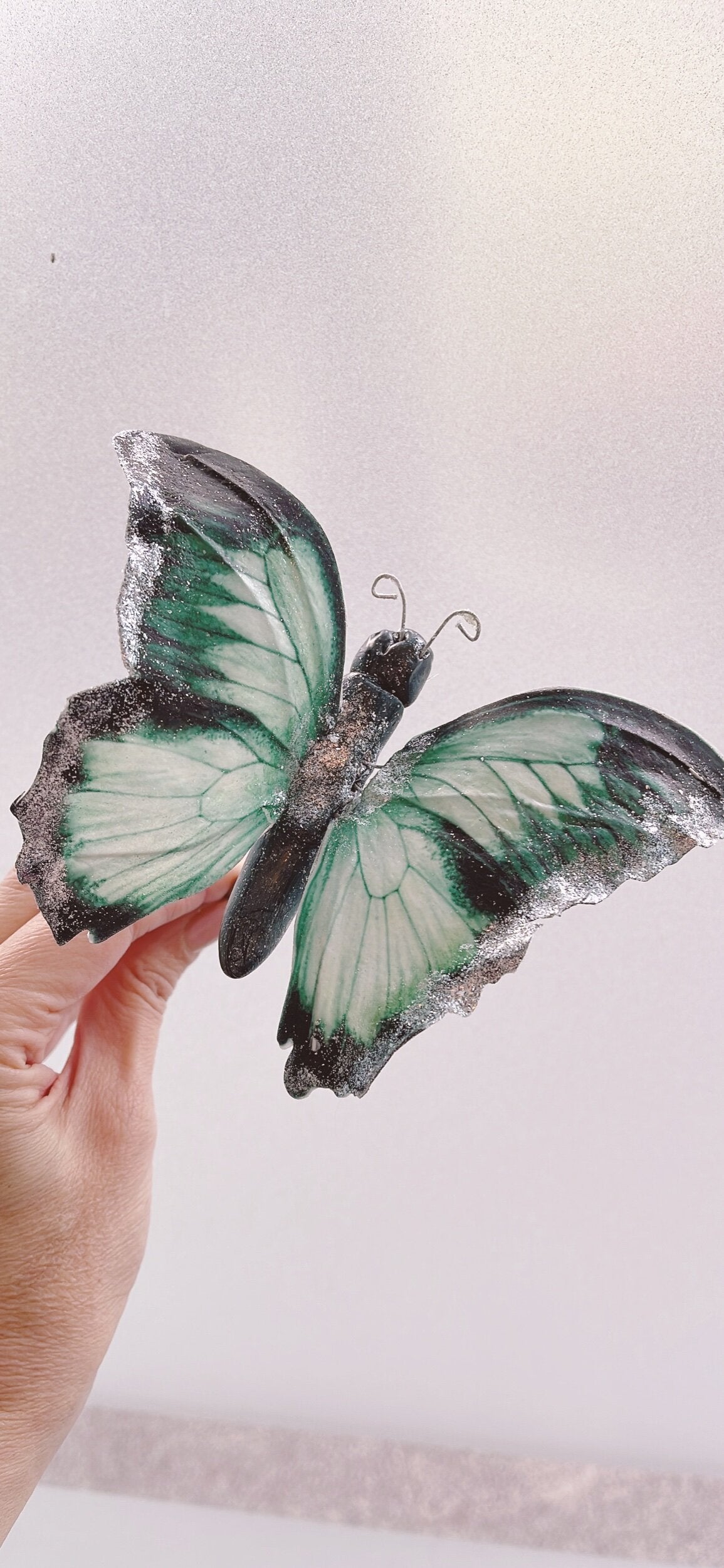 Giant Wafer Paper Butterflies in Black and Grey - Set of 2