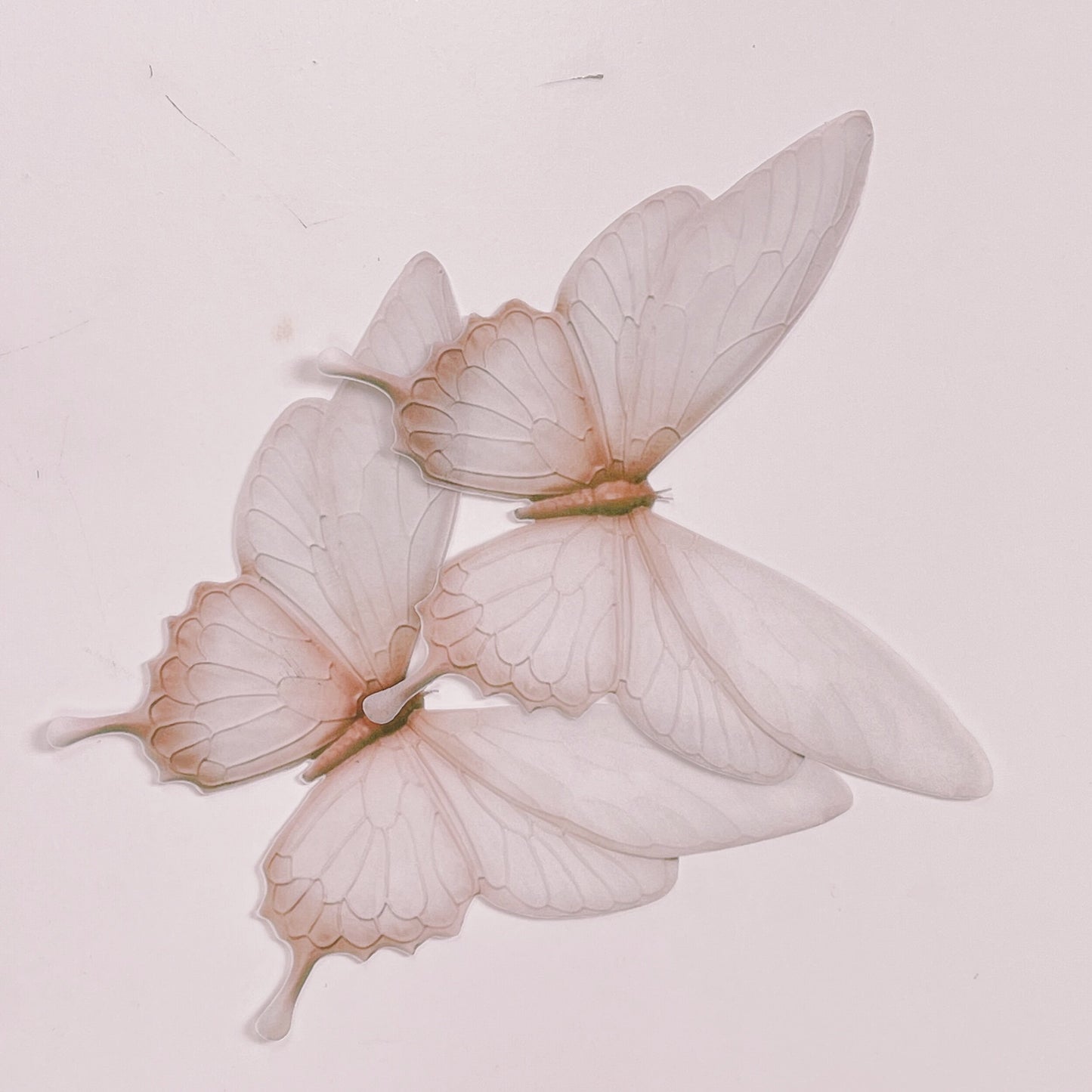 Moreish Signature Range Giant Wafer Paper Butterflies in Neutral Beige - Set of 2