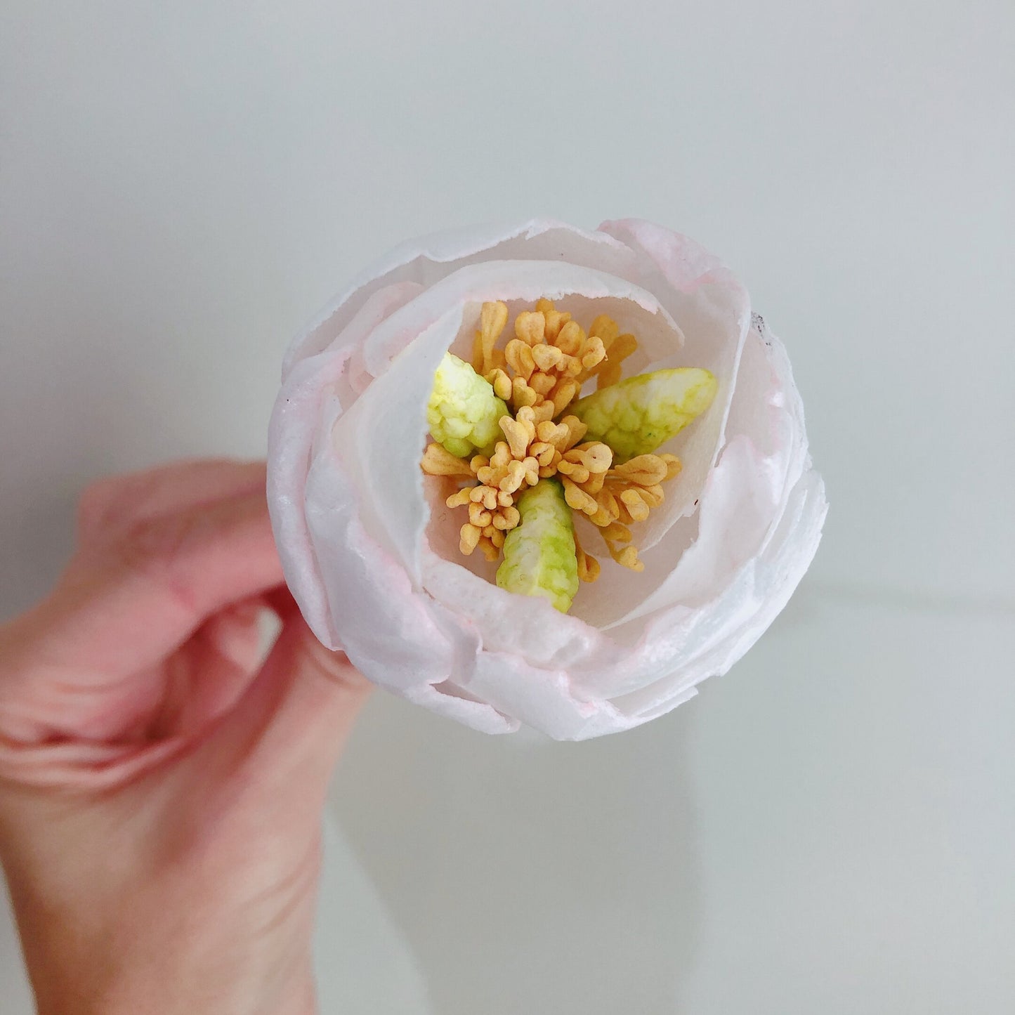 More Moist & More Curl Bundle Offer - Wafer Paper Buddies