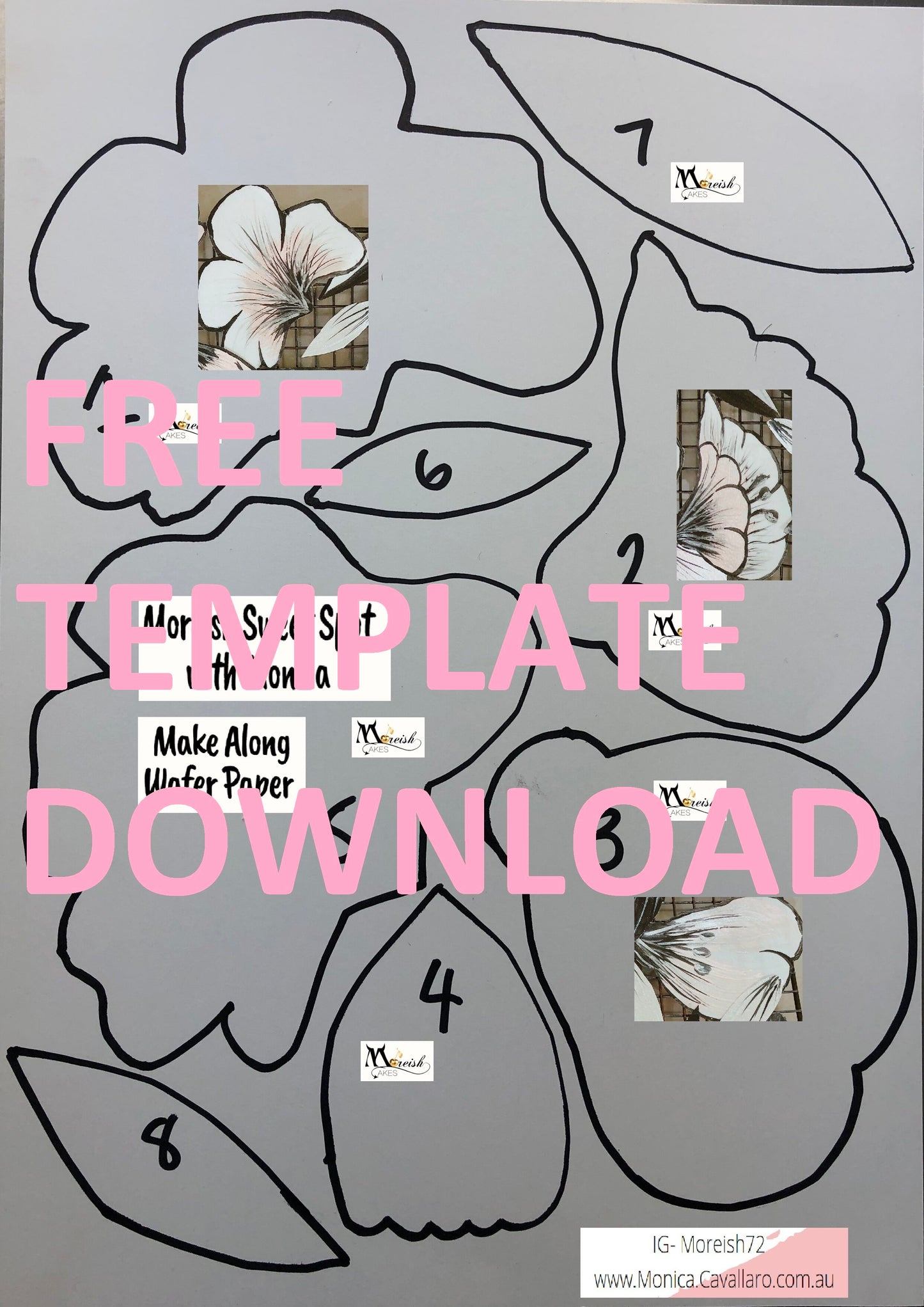 Free Wafer Paper Flower Template for Cakelfix and Youtube Tutorial