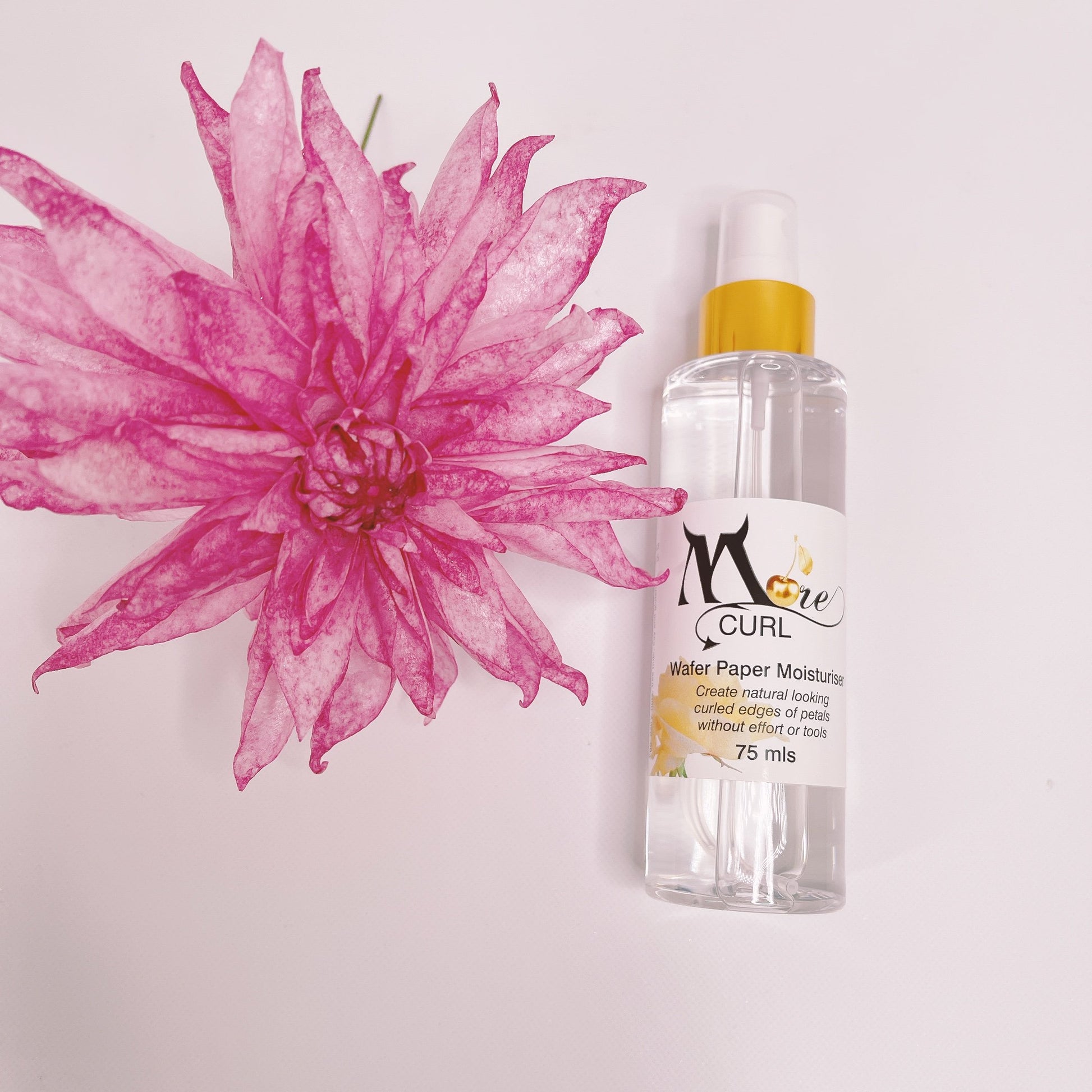 Photo 19-10-21, 2 24 57 pm.jpg