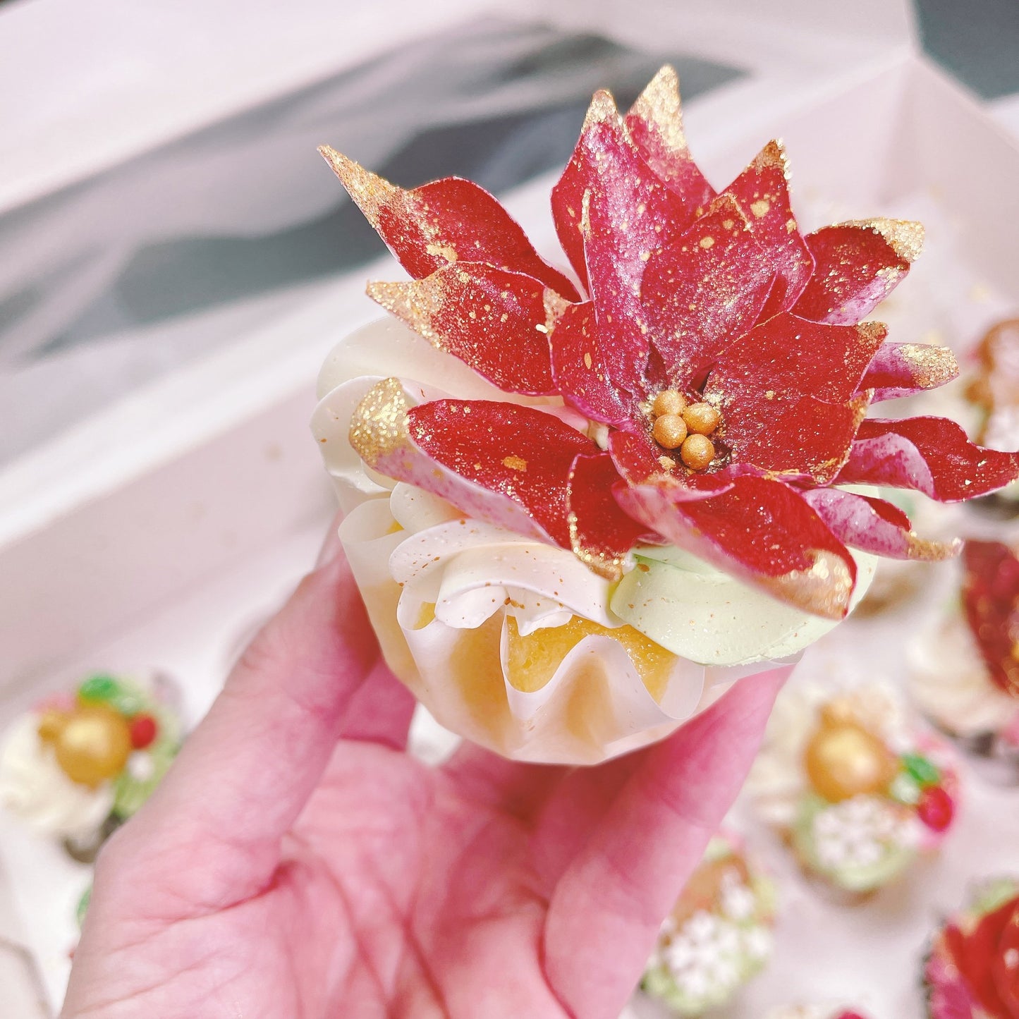 Precut Poinsettia Wafer Paper Petals