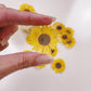 More Wafer Edible Sunflowers - Pack of 24