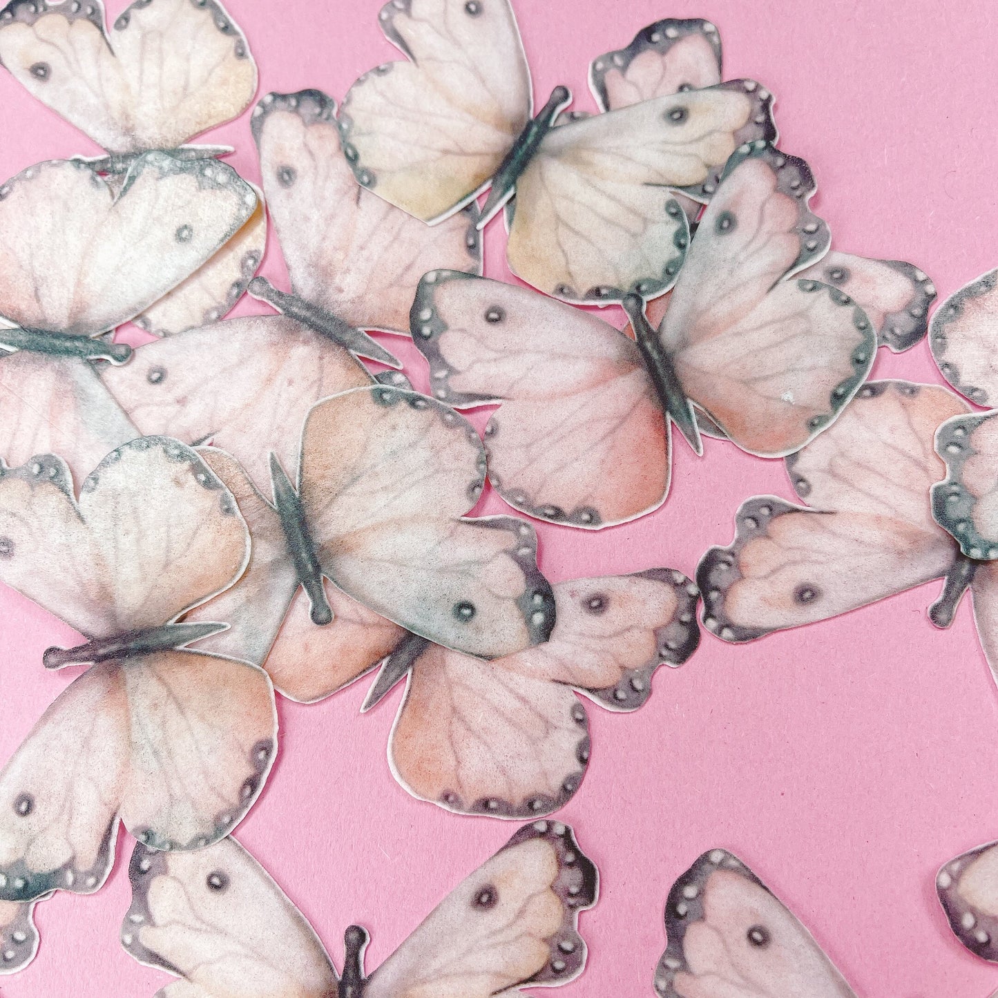 Wafer Paper Butterflies Earthy Tones 24 PreCut Edible