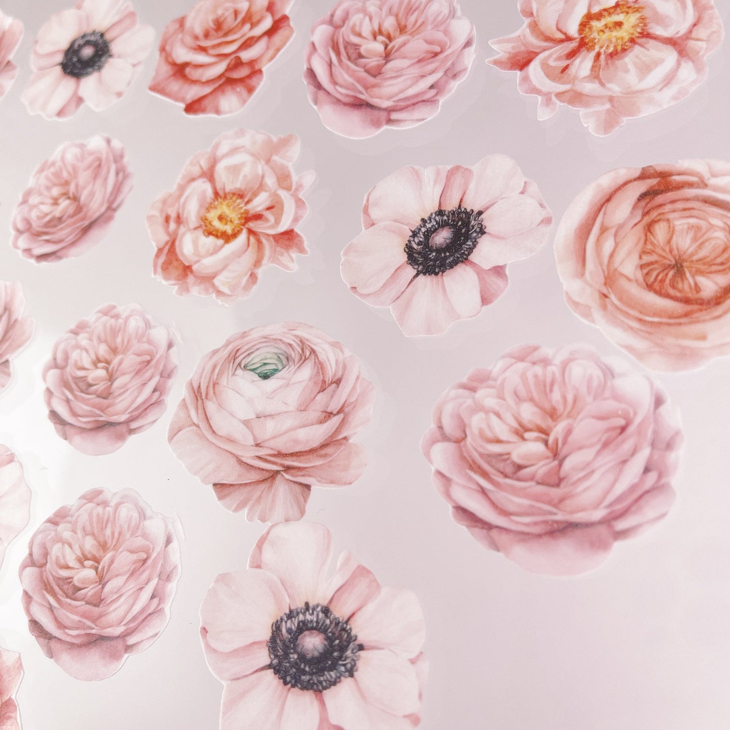 Wafer Paper Signature Blush Pink Florals - Cupcake Toppers
