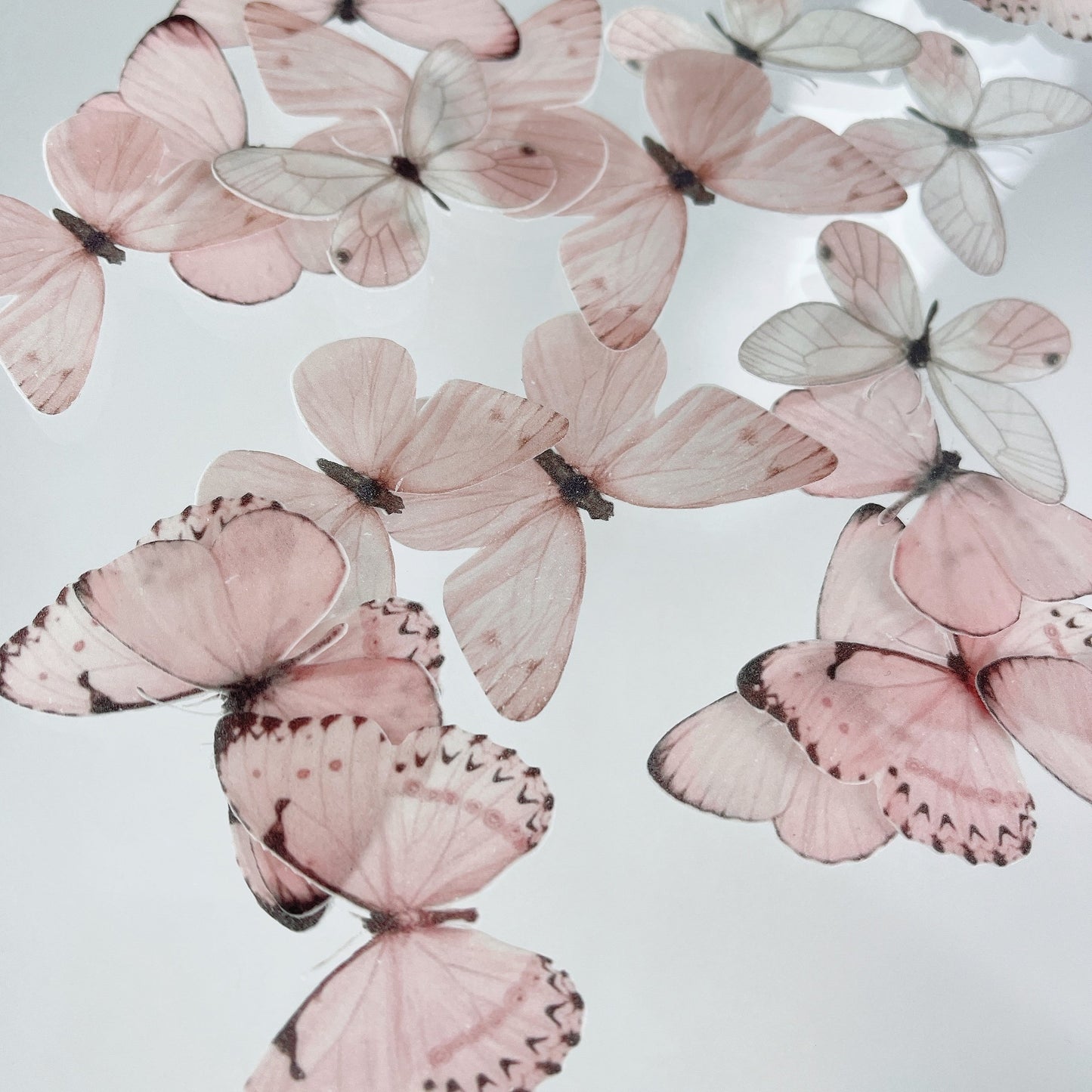 Wafer Paper Butterflies Pretty In Pink 18 PreCut Edible