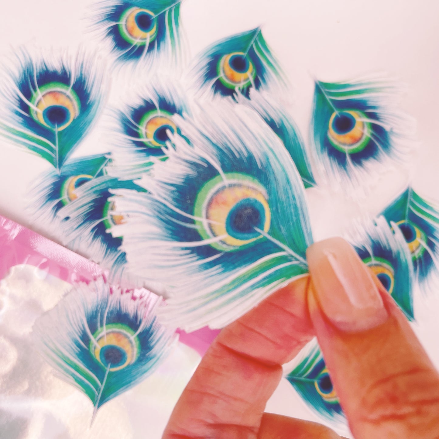 Wafer Paper Peacock Feathers
