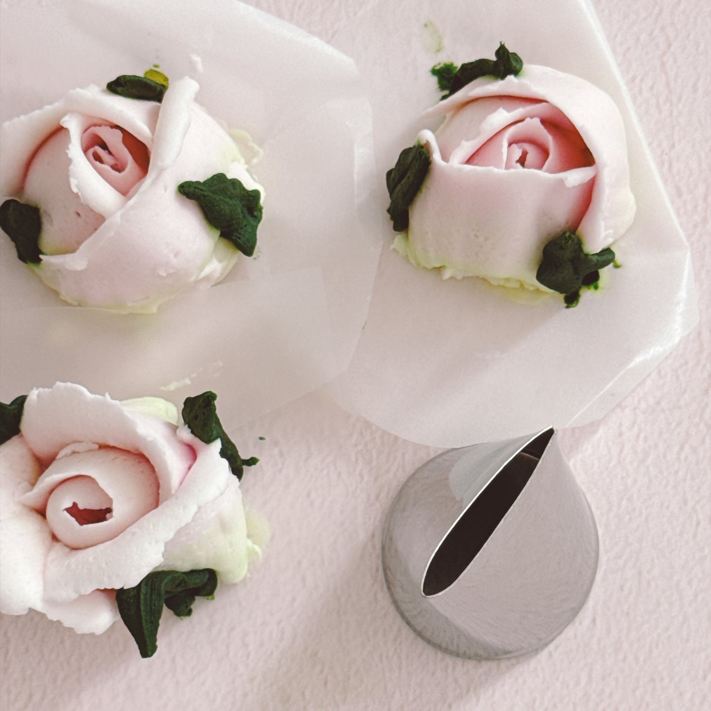 Moni's Fav Piping Tips - Giant Straight Petal Tip