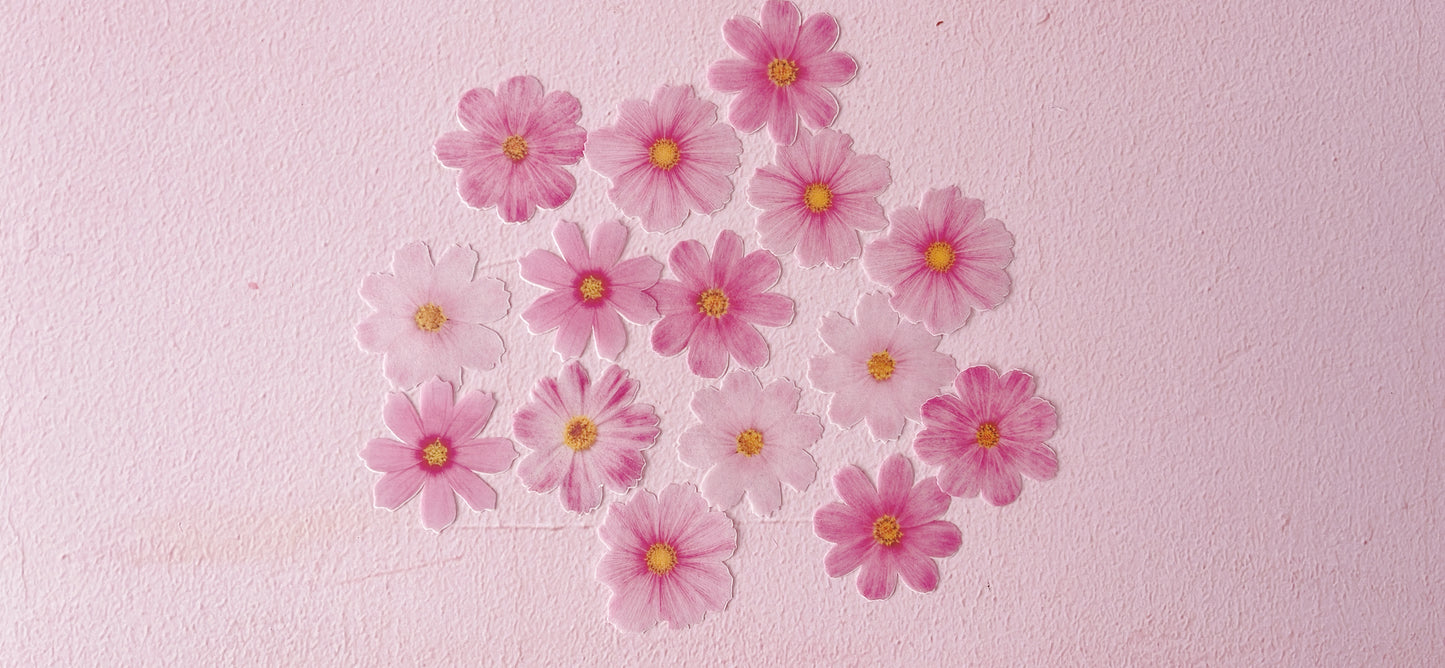 More Wafer Paper shades of Pink Cosmos Flowers Pack of 15