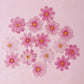 More Wafer Paper shades of Pink Cosmos Flowers Pack of 15