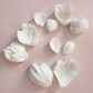 More Veiners Peony Deep Form Veiners Set - 5 Piece Set
