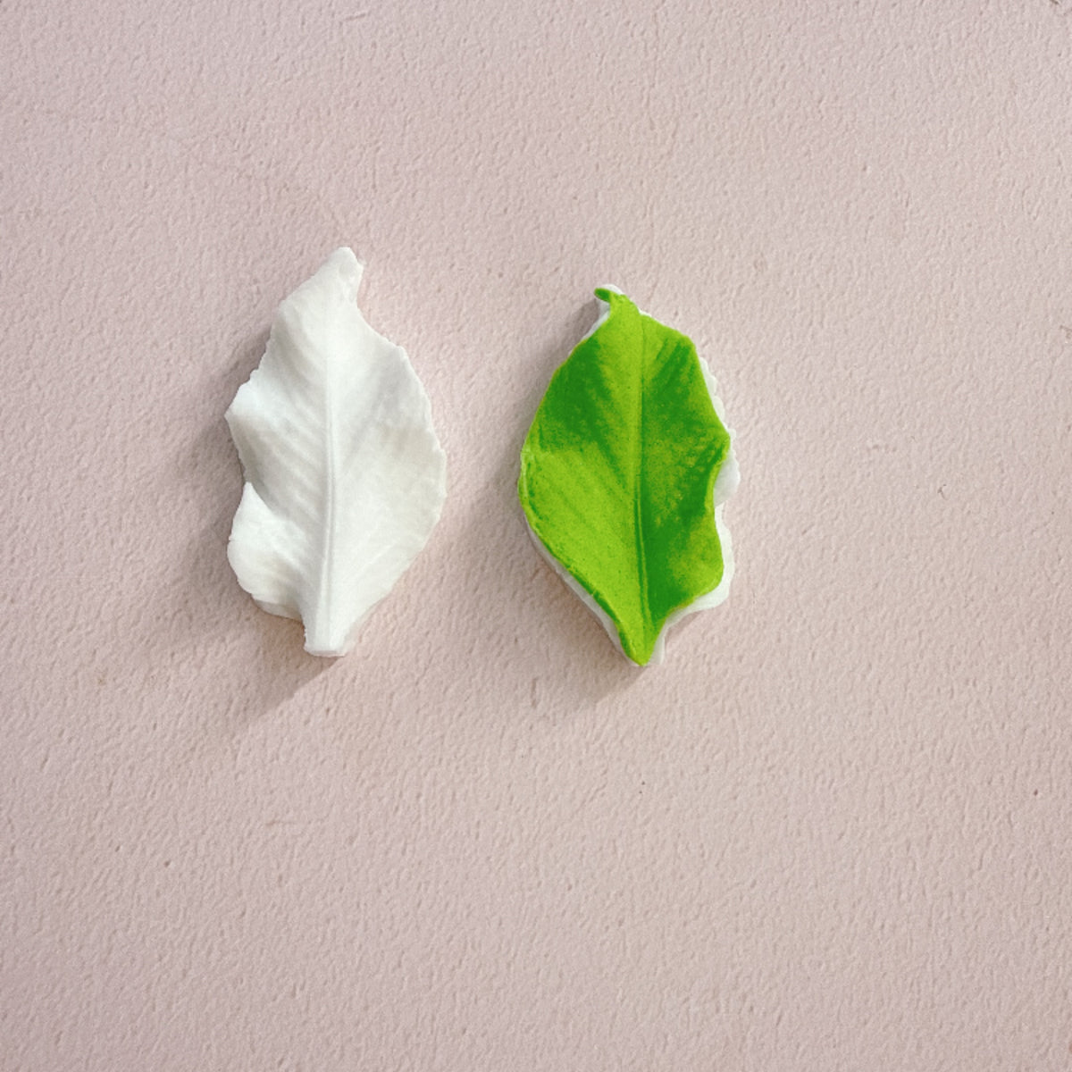 Leaf Silicone Molds set of 2