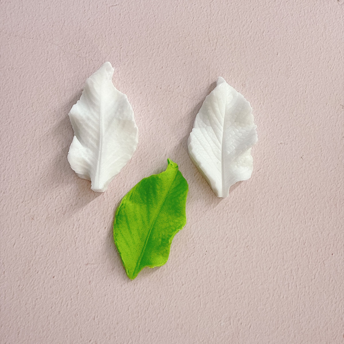 Leaf Silicone Molds set of 2