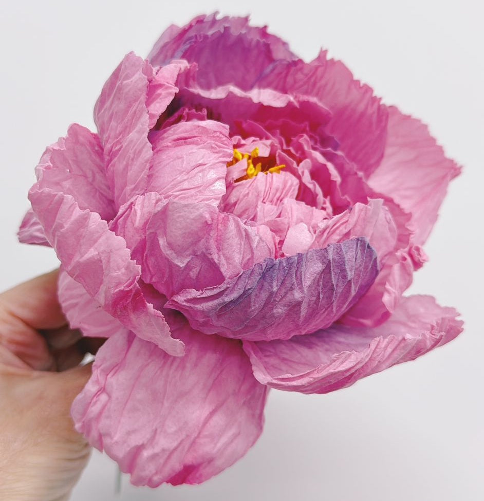 Moreish Peony Template for Cricut 12 Page File