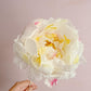 Moreish Peony Template for Cricut 12 Page File