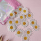 More Wafer Edible Daisies - Pack of 24