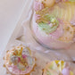 More Bento Cake n Cuppies Boxes - Regular and Mini Stockist Only