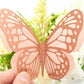 More Double Card Butterflies pack of 20