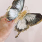 Giant Wafer Paper Butterflies in Black and Grey - Set of 2