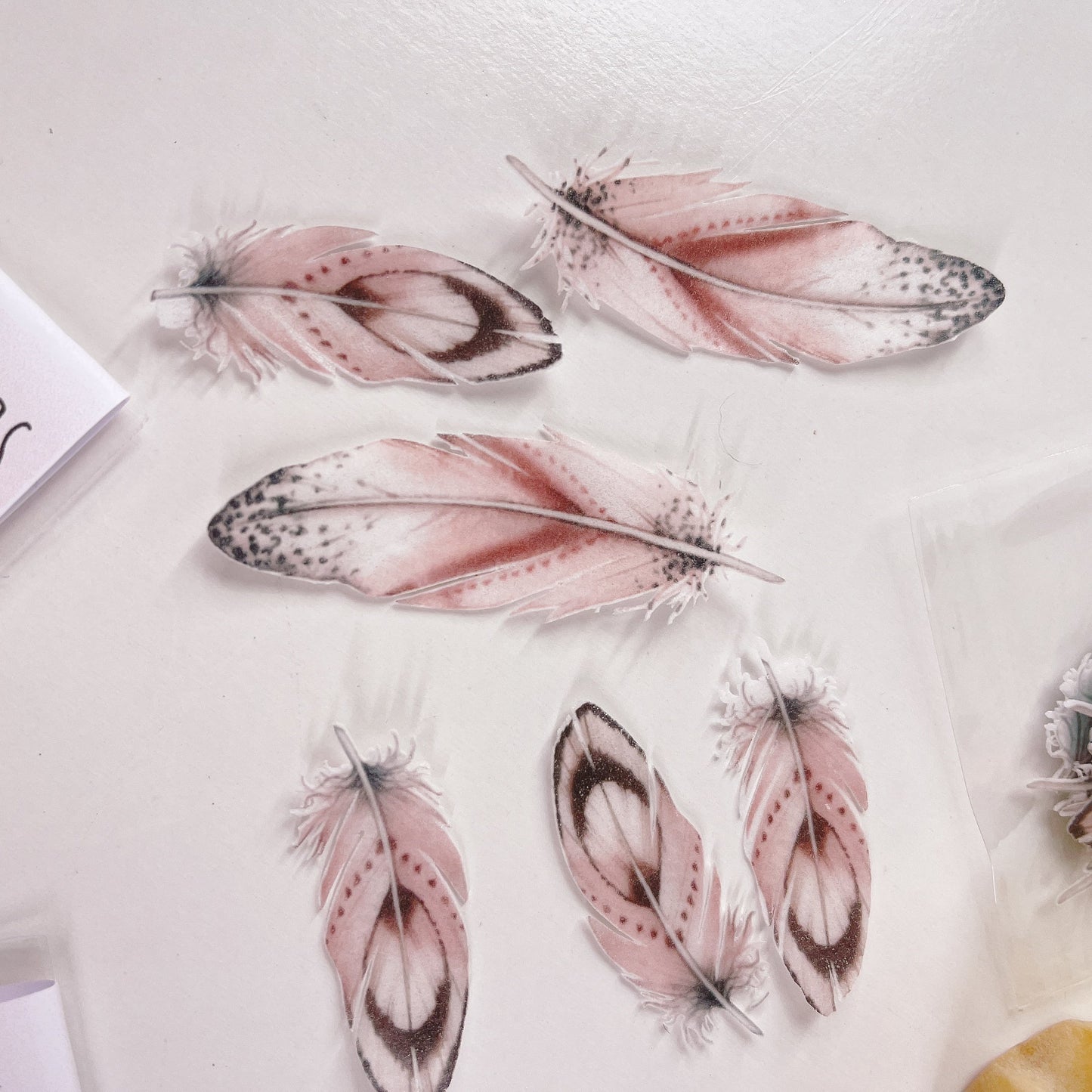 More Wafer Feathers - Pink with Black Details  - Pack of 15 - Various Sizes