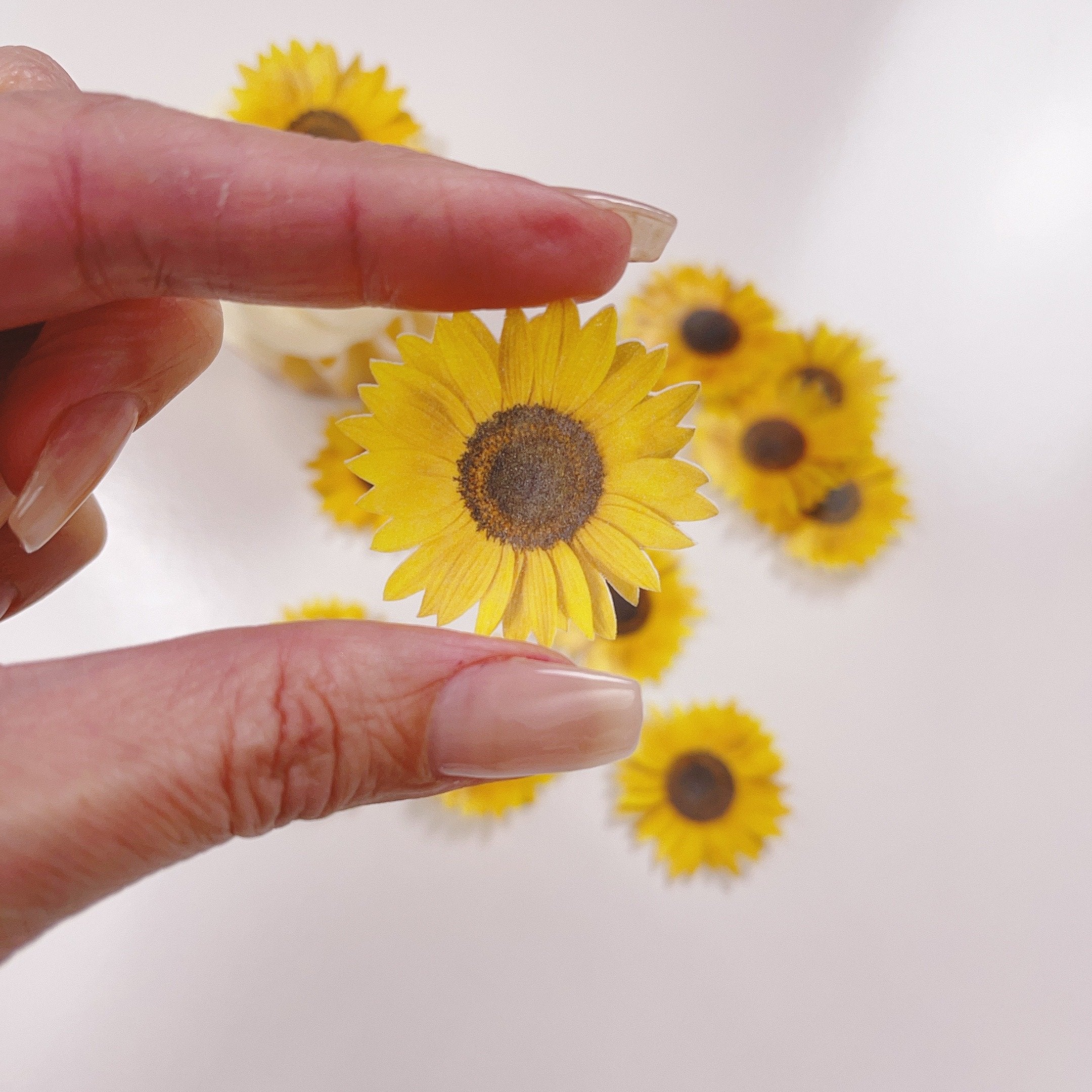 More Wafer Edible Sunflowers Pack of 24 Moreish Cakes