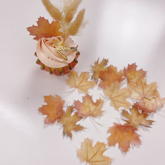More Wafer Paper Autumn Maple Leaves Pack of 15
