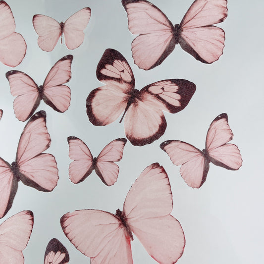 Wafer Paper Butterflies Pink with Dark Edges 15 PreCut Edible
