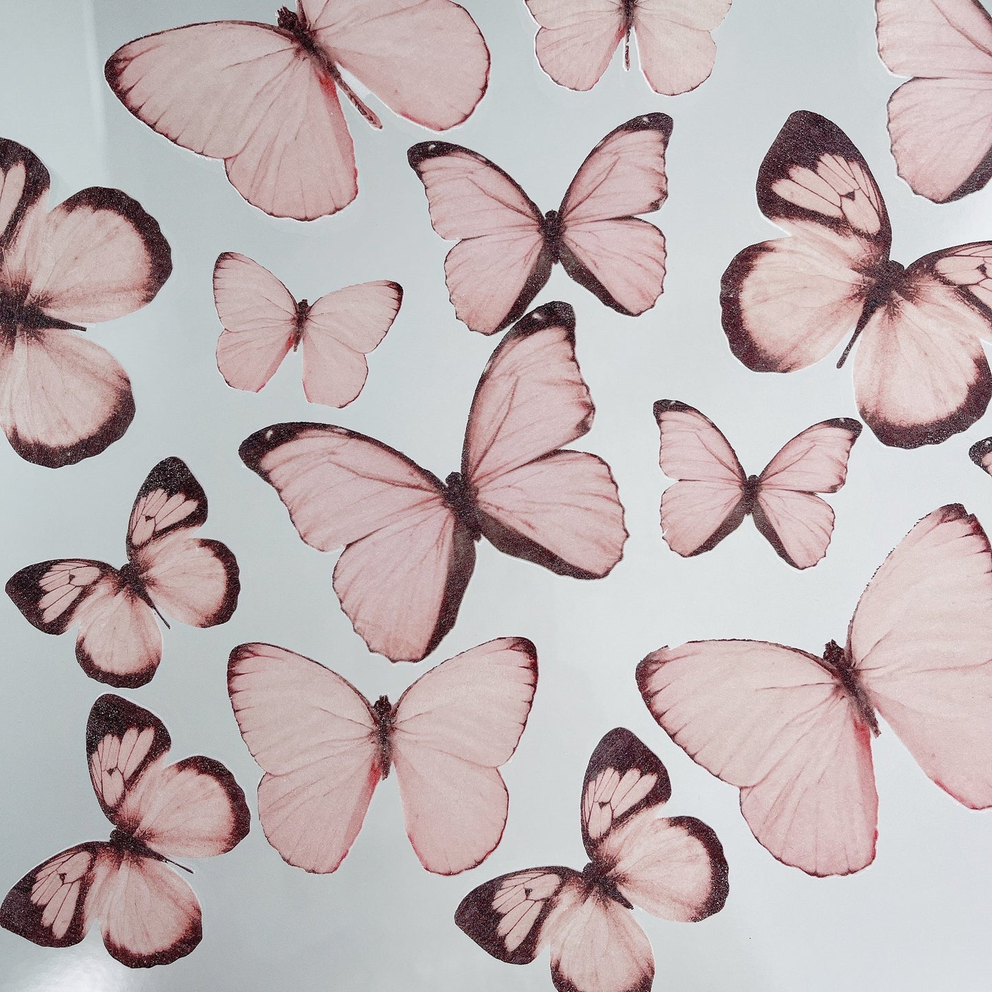 Wafer Paper Butterflies Pink with Dark Edges 15 PreCut Edible