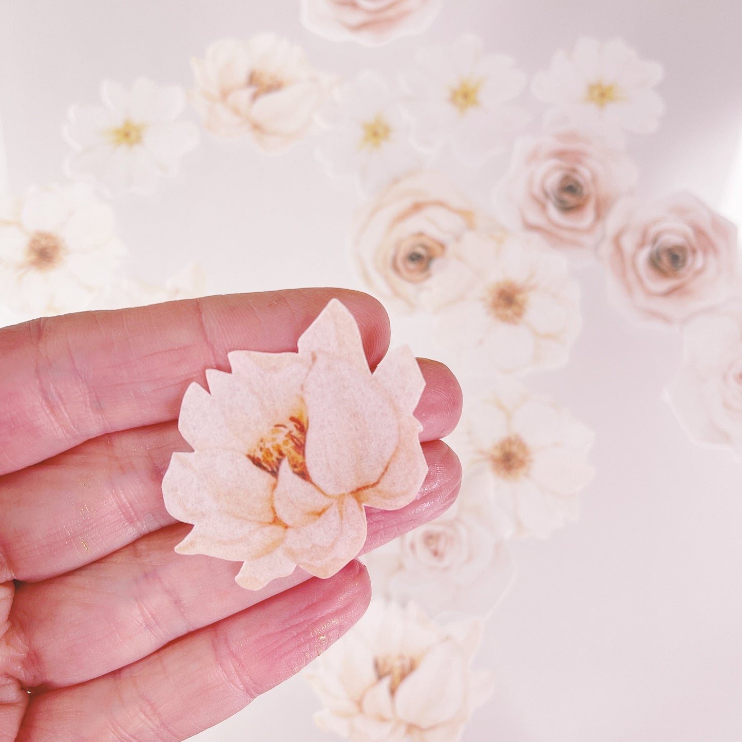 Wafer Paper Signature Ivory Florals - Cupcake Toppers