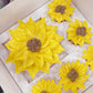 More Bento Cake n Cuppies Boxes - Regular and Mini Stockist Only